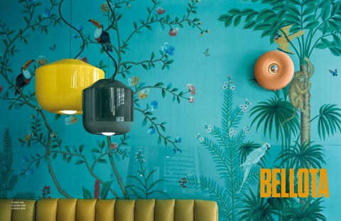 Ferroluce-Deco 2025 第 17 页