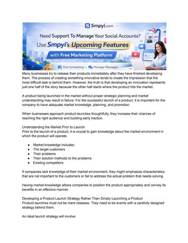 Don’t Launch Blind_ The Role of Strategy and Market Knowledge