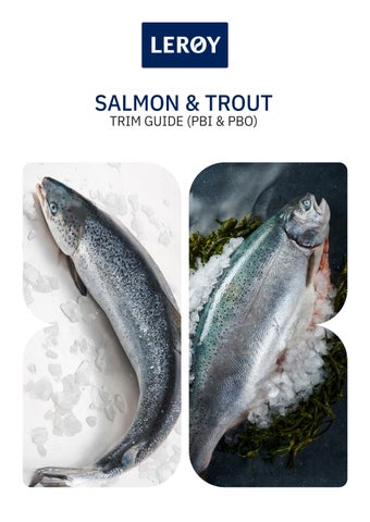 Trim Guide brosjyre Salmon & Trout 2026-A4_Barcelona
