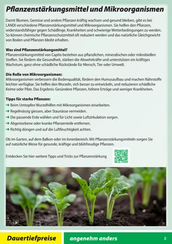 LANDI Themenflyer Pflanzenschutz und Duenger 第 2 页