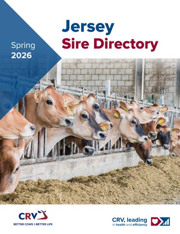 CRV USA - Spring 2026 Jersey Directory