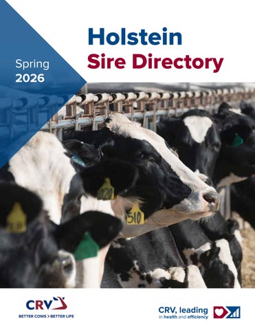 CRV USA - Spring 2026 Holstein Directory