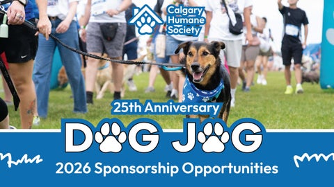 Dog Jog 2026 Sponsorship Deck