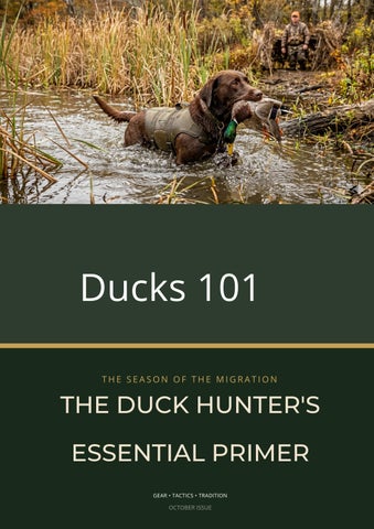 Waterfowl_Magazine_Feature.pdf