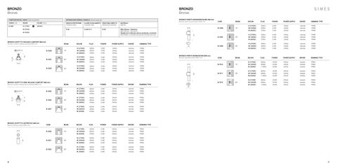 SIMES 青铜 2026 英文 第 15 页
