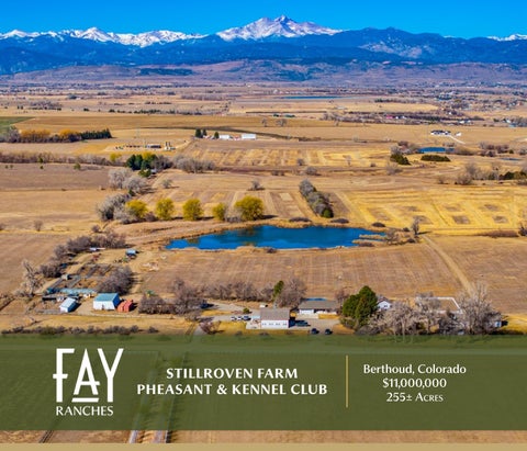 Stillroven Farm Pheasant & Kennel Club | Fay Ranches