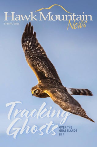 Hawk Mountain News Spring 2026