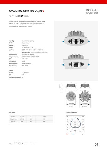 EAE 灯饰 - Arkitektonisk effektbelysning innendørs og utendørs NO 第 20 页