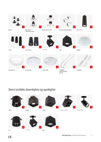 EAE 灯饰 - Arkitektonisk effektbelysning innendørs og utendørs NO 第 5 页