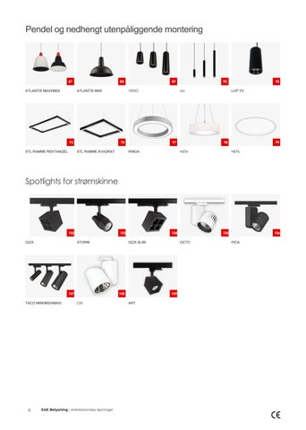 EAE 灯饰 - Arkitektonisk effektbelysning innendørs og utendørs NO 第 6 页