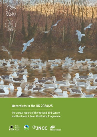 BTO / RSPB / JNCC / NatureScot Waterbirds in the UK 2024/25 Report