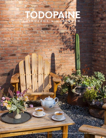 Revista Todo Paine - abril 2026