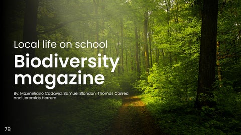 Local life on school (1)