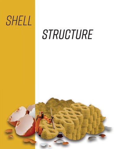 Shell To Structure - Arch 373