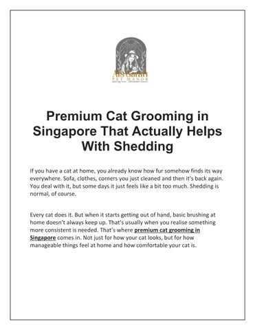 Premium Cat Grooming in Singapore