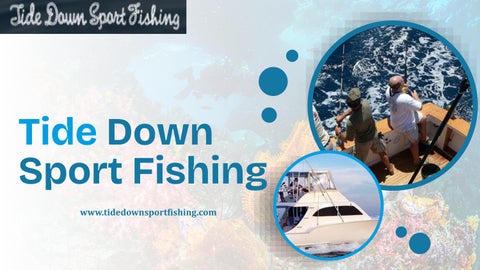 Tide Down Sport Fishing