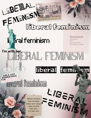 Liberal Feminism (F25 216-80)