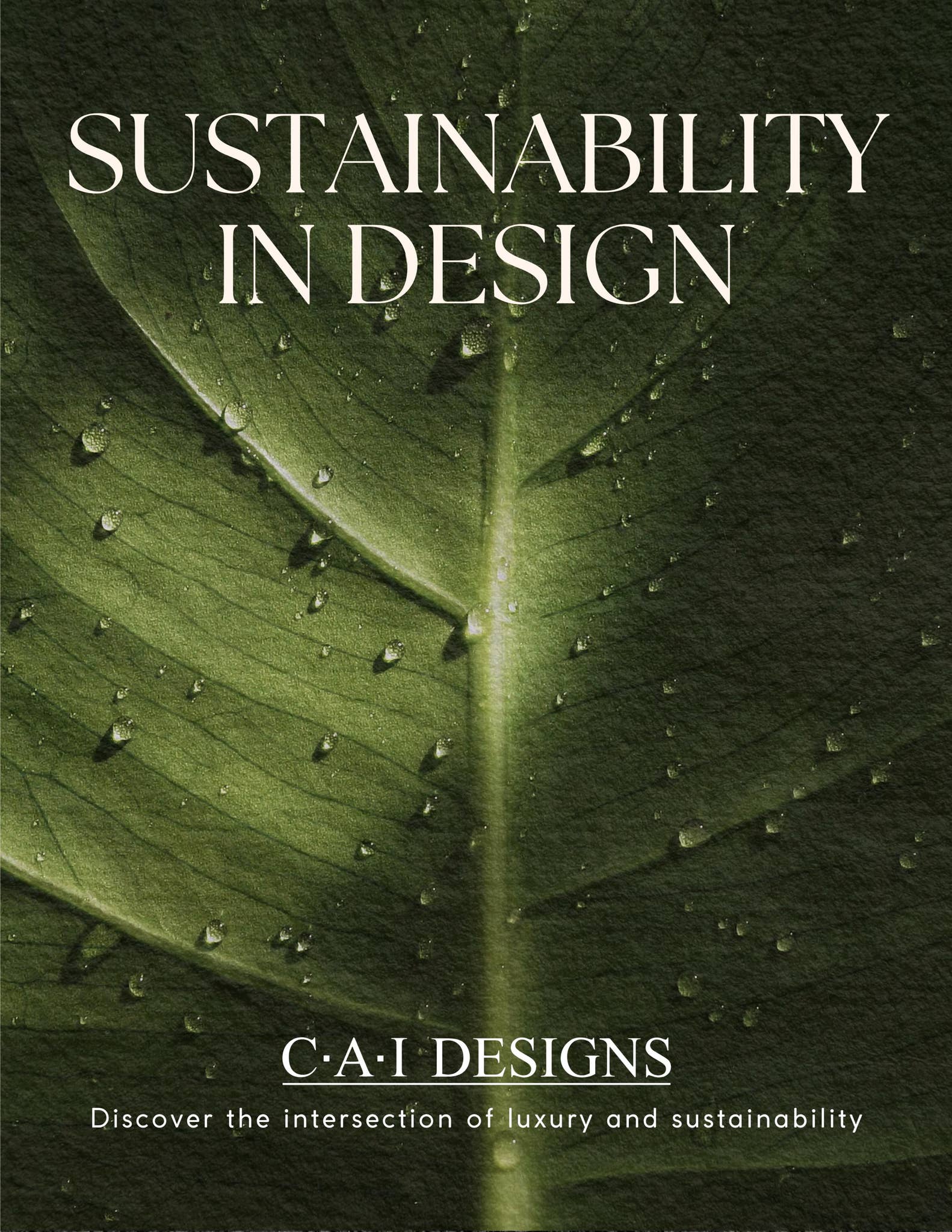 Sustainability Indesign Sustainability in Design by caidesigns - Issuu
