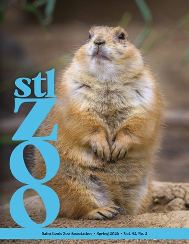 Spring 2026 stlzoo magazine