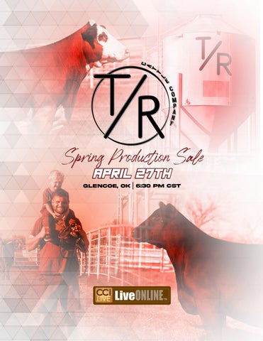 T/R Cattle Co. | Spring Production Sale