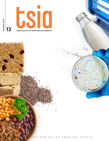 Revista TSIA Volumen 13 - UDLAP