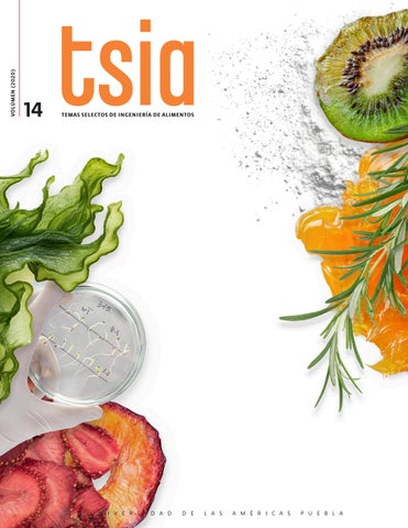 Revista TSIA Volumen 14 - UDLAP