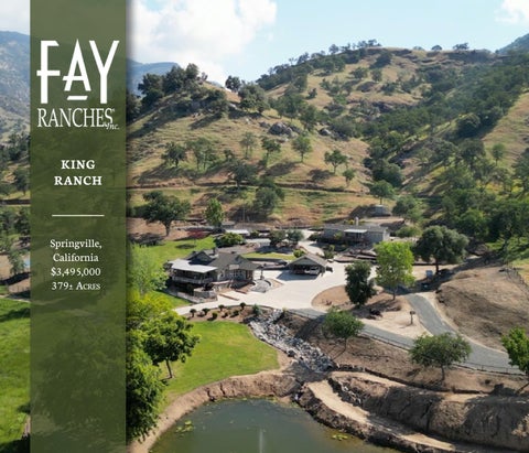 King Ranch | Fay Ranches