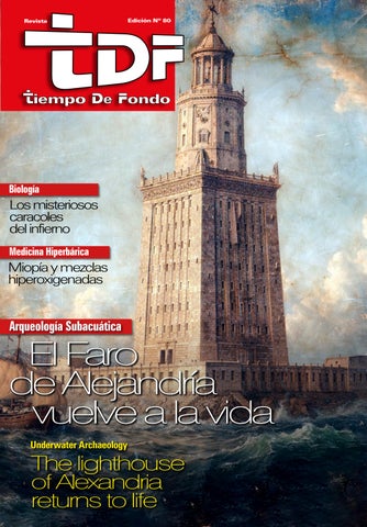 REVISTA TIEMPO DE FONDO TDF Nº80 (ESPAÑOL E INGLÉS)