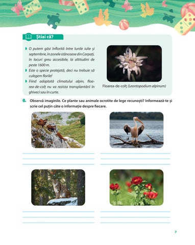 Vacanta cu DO MI NO cls 3 第 8 页