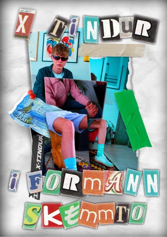 Skemmtó Framboðs Bæklingur