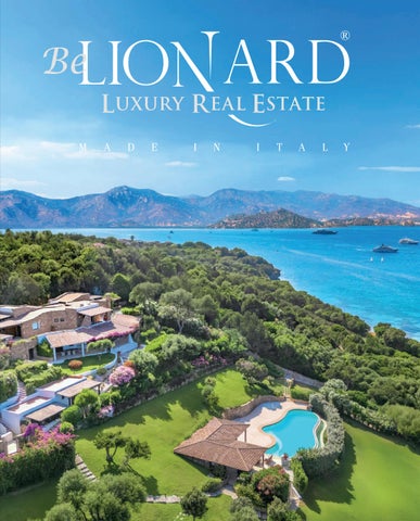 Be Lionard n°12