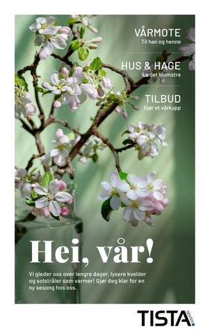 Tista Senter Vår 2026