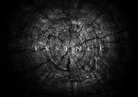 Essence for Poliform 第 1 页