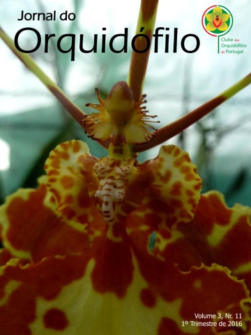 Jornal do Orquidofilo Nr. 11 2016