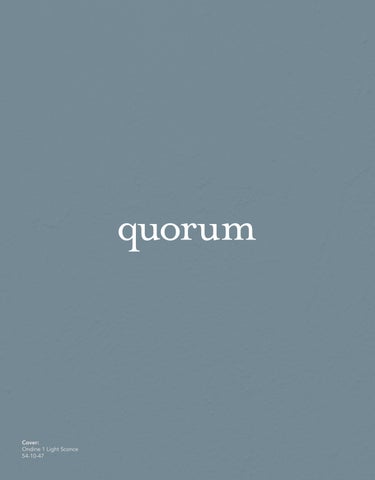 Quorum 春季 灯饰型录 2026 第 2 页