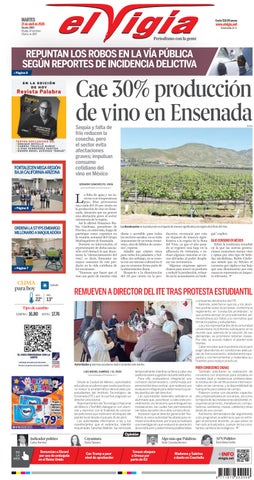 Cae 30% producción de vino en Ensenada