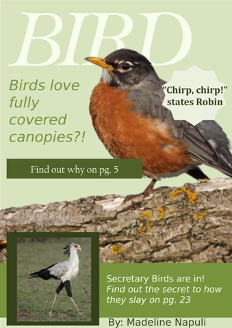 Ecology Presentation - Napuli