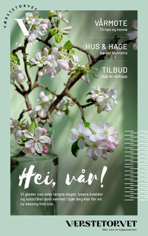 Værstetorvet Vår 2026 