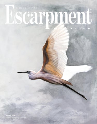 Escarpment Magazine Spring 2026