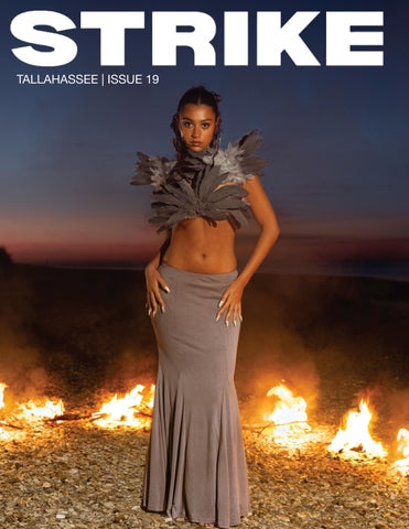 Strike Magazine Tallahassee Issue 19
