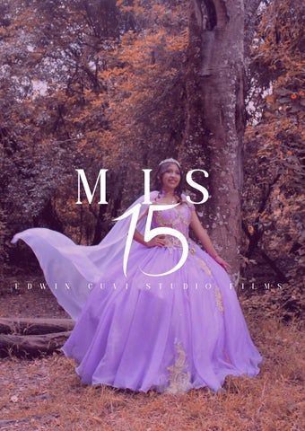 broshure 15 años 2026 