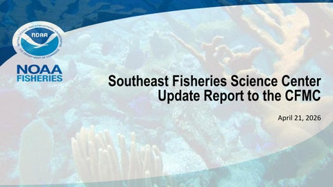 SEFSC Update Report to the CFMC