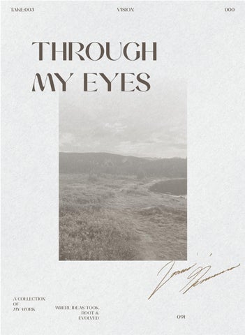 Portfolio JosueGuerrero