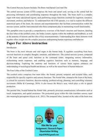 The Central Nervous System Includes The Brain And Spinal Cor