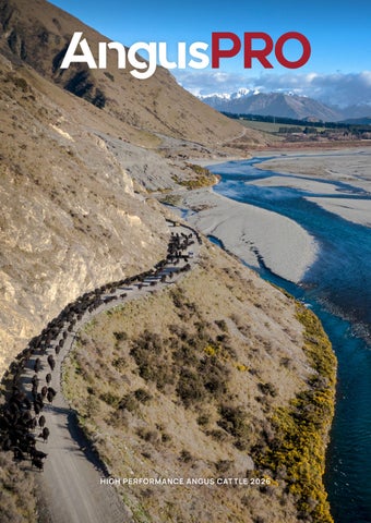 AngusPRO Magazine 2026