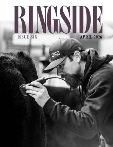 RINGSIDE ISSUE 6
