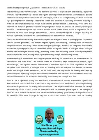 The Skeletal Systempre Lab Questionslist The Functions Of Th