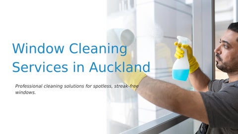 Window Cleaning Services in Auckland