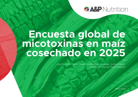 Encuesta global de micotoxinas en maíz cosechado en 2025