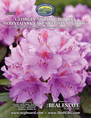 Georgia/North Carolina Mountains & Lakes Regional Guide™ - #107